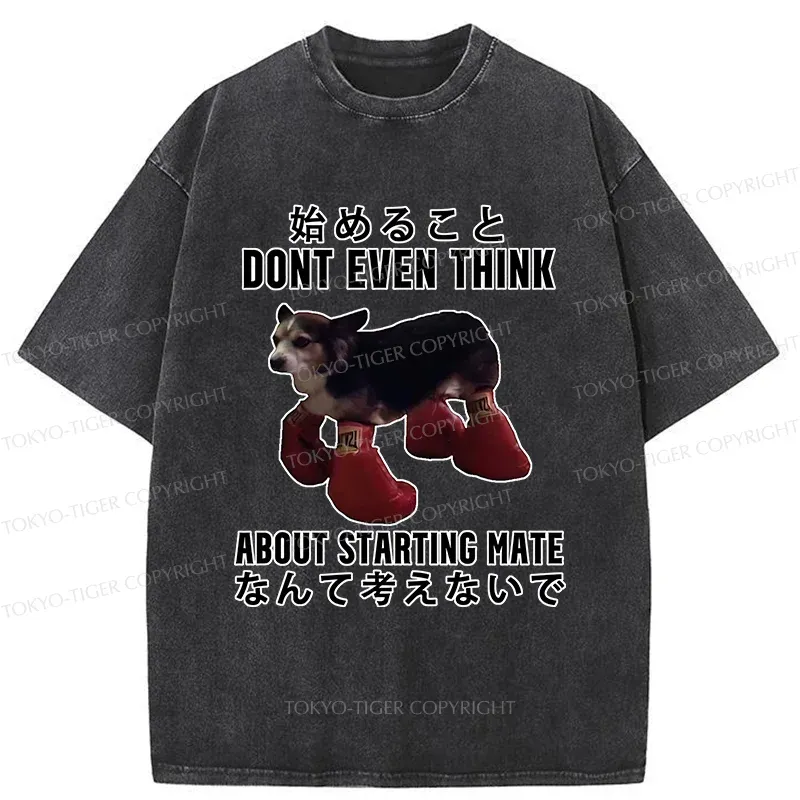 Tokyo-Tiger Funny Violent Boxer Washed T-Shirt