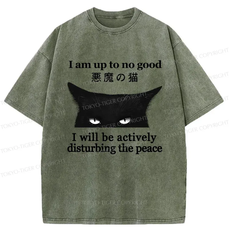 Tokyo-Tiger Cat Disturbing The Peace Washed T-Shirt