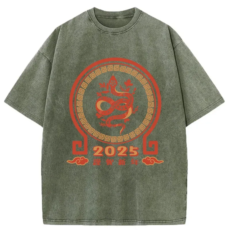 Tokyo-Tiger Celebrating The Year Of The Snake Washed T-Shirt