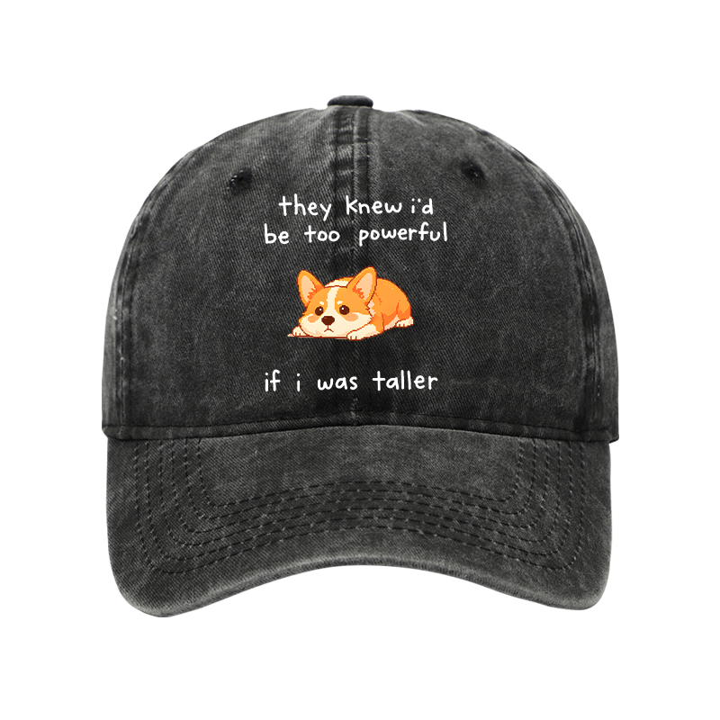 Tokyo-Tiger Funny Short Dog Joke Washed Cap
