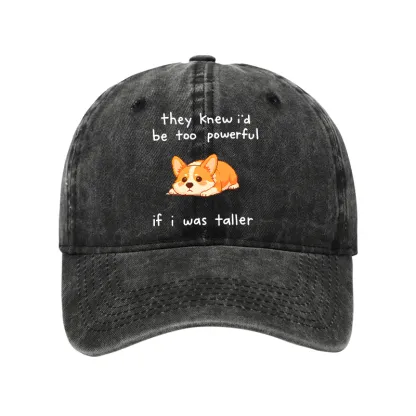 Tokyo-Tiger Funny Short Dog Joke Washed Cap