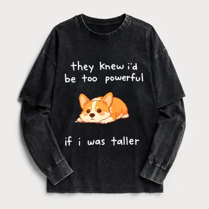 Tokyo-Tiger Funny Short Dog Joke Washed Double Layer T-Shirt