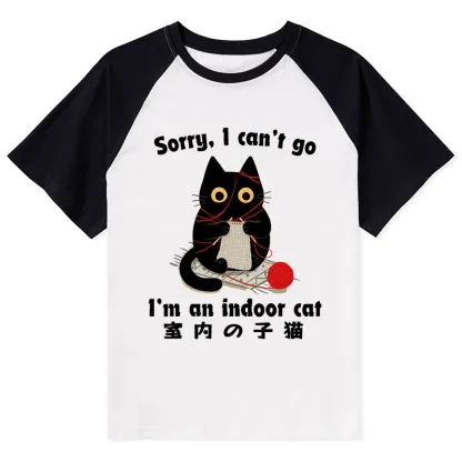 Tokyo-Tiger Indoor Cat Meme Raglan T-shirt