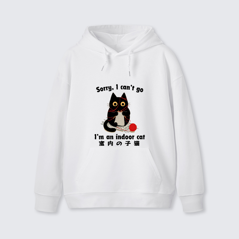 Tokyo-Tiger Indoor Cat Meme Classic Hoodie