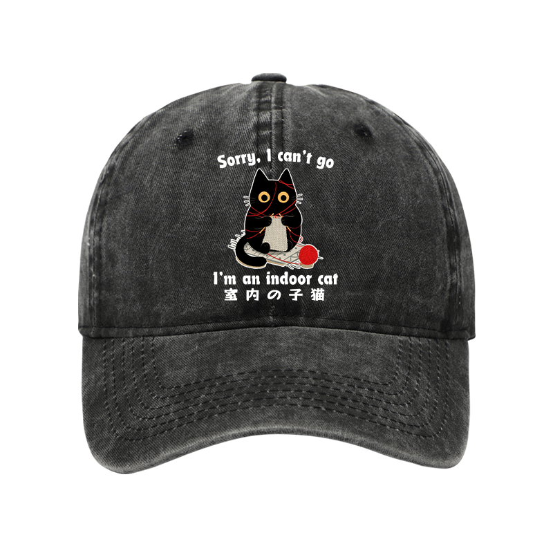 Tokyo-Tiger Indoor Cat Meme Washed Cap