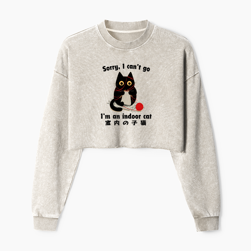 Tokyo-Tiger Indoor Cat Meme Washed Crop Sweatshirt