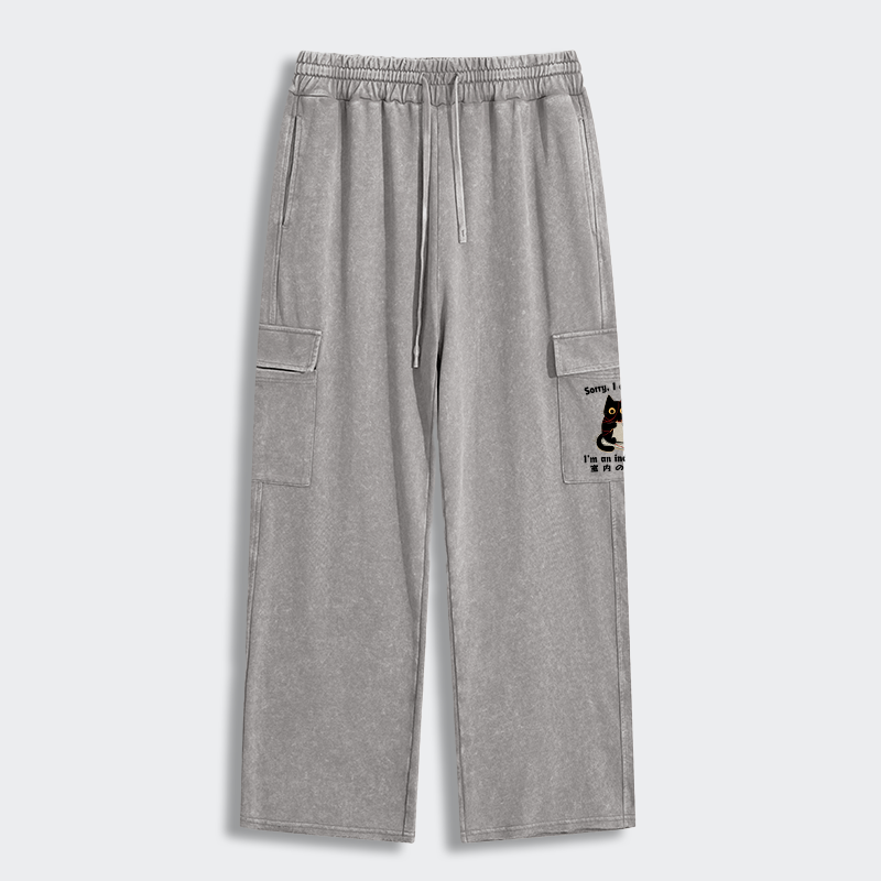 Tokyo-Tiger Indoor Cat Meme Washed Utility Sweatpants