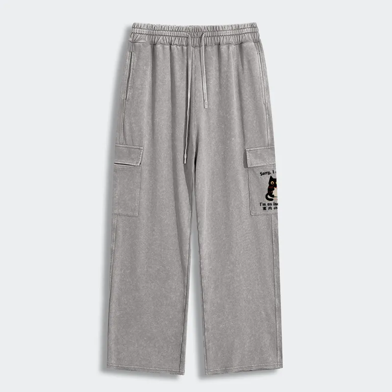 Tokyo-Tiger Indoor Cat Meme Washed Utility Sweatpants Sale