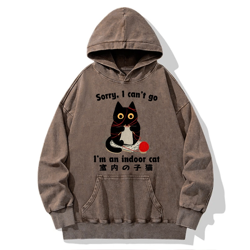 Tokyo-Tiger Indoor Cat Meme Washed Hoodie