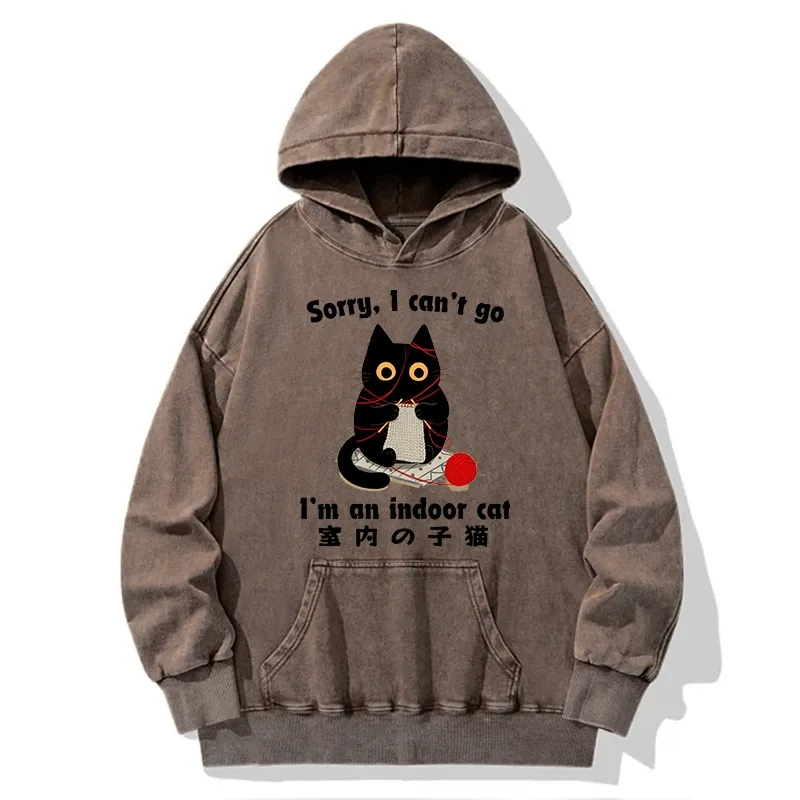 Tokyo-Tiger Indoor Cat Meme Washed Hoodie