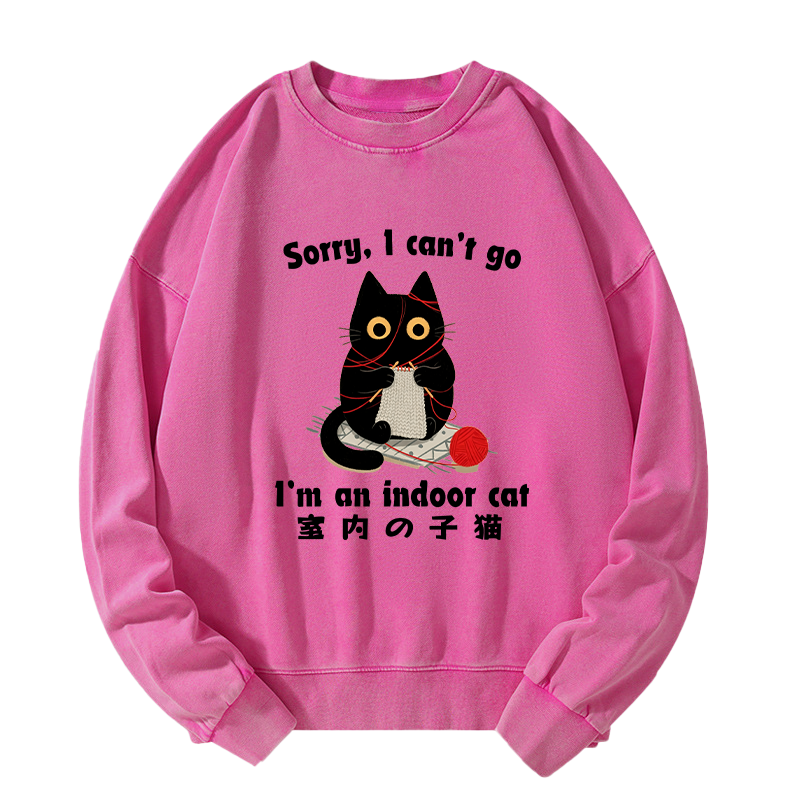 Tokyo-Tiger Indoor Cat Meme Washed Sweatshirt