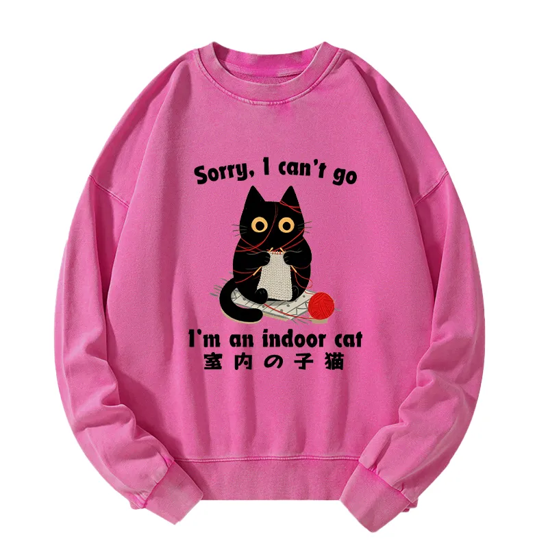 Tokyo-Tiger Indoor Cat Meme Washed Sweatshirt
