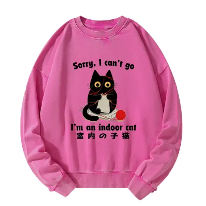 Tokyo-Tiger Indoor Cat Meme Washed Sweatshirt