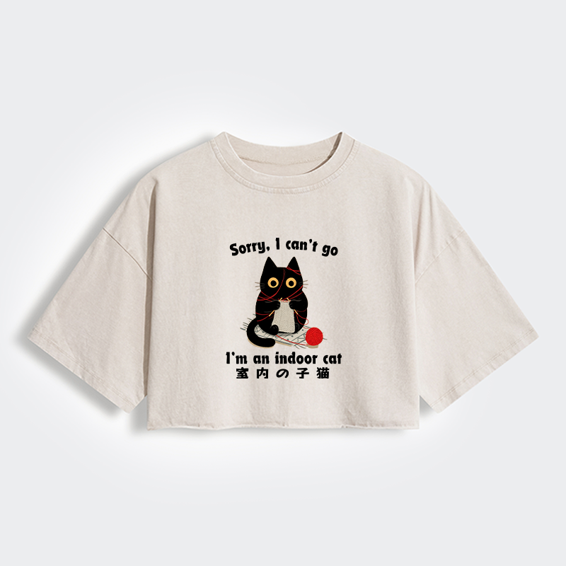 Tokyo-Tiger Indoor Cat Meme Women's Washed Crop T-Shirt
