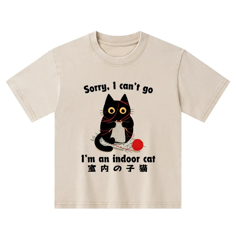 Tokyo-Tiger Indoor Cat Meme Kids Washed T-Shirt