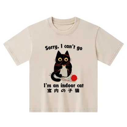 Tokyo-Tiger Indoor Cat Meme Kids Washed T-Shirt