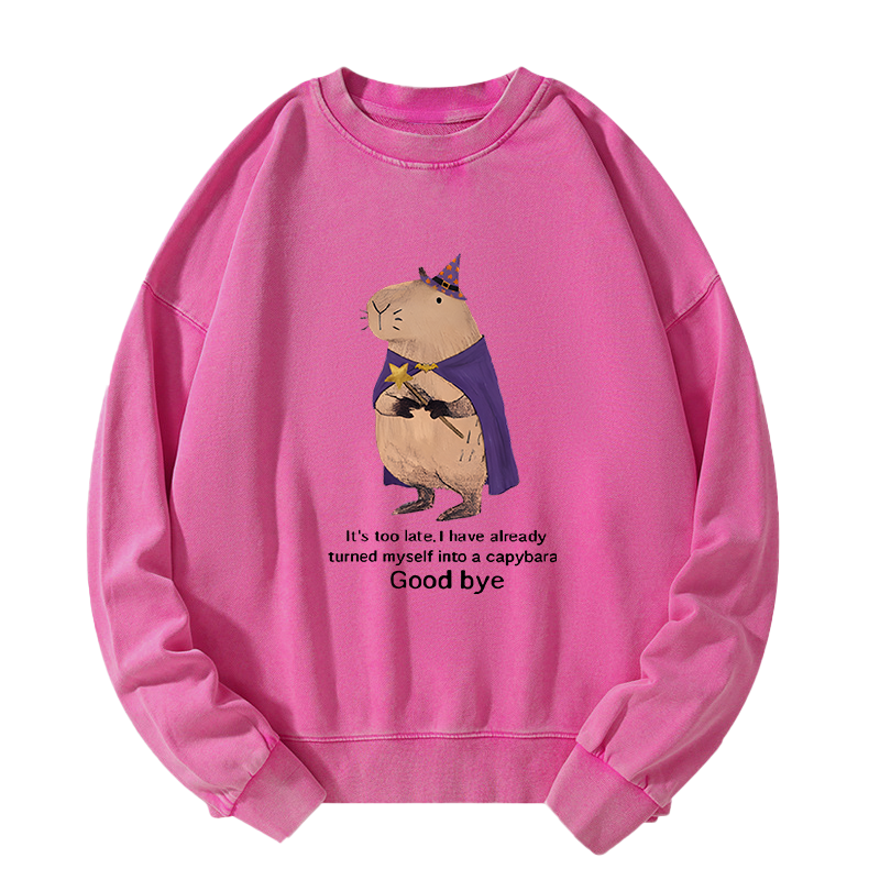 Tokyo-Tiger Funny Wizard Capybara Washed Sweatshirt