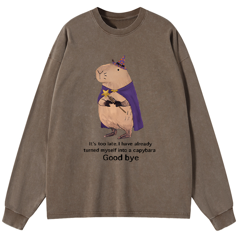 Tokyo-Tiger Funny Wizard Capybara Washed Long Sleeve T-Shirt