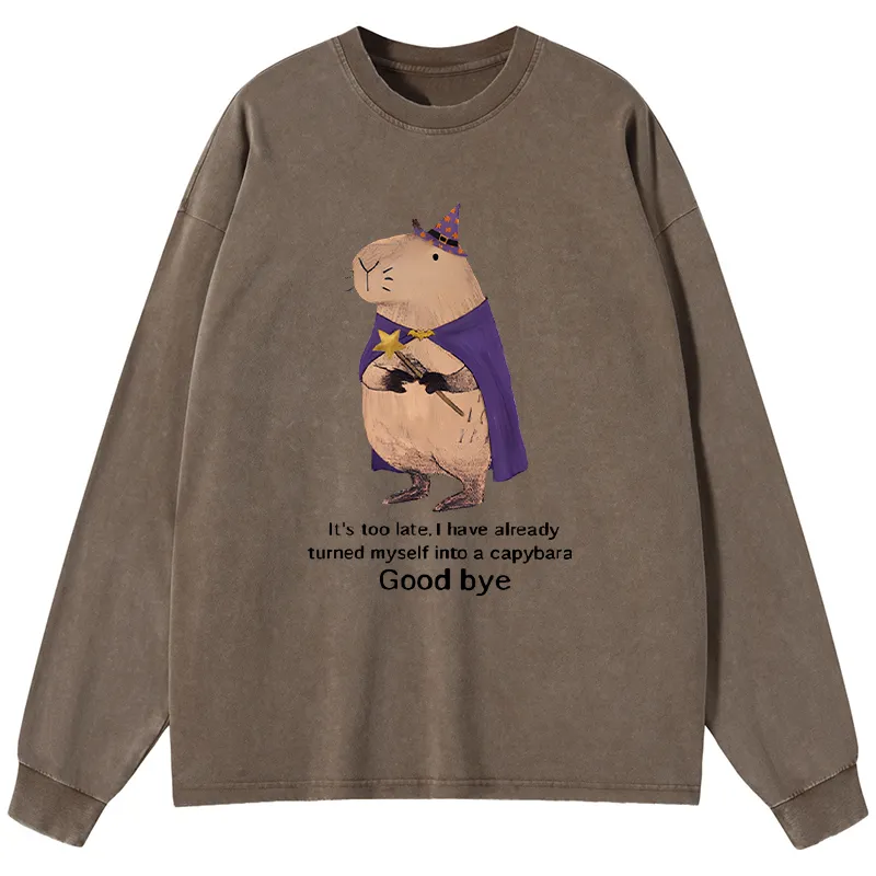 Tokyo-Tiger Funny Wizard Capybara Washed Long Sleeve T-Shirt