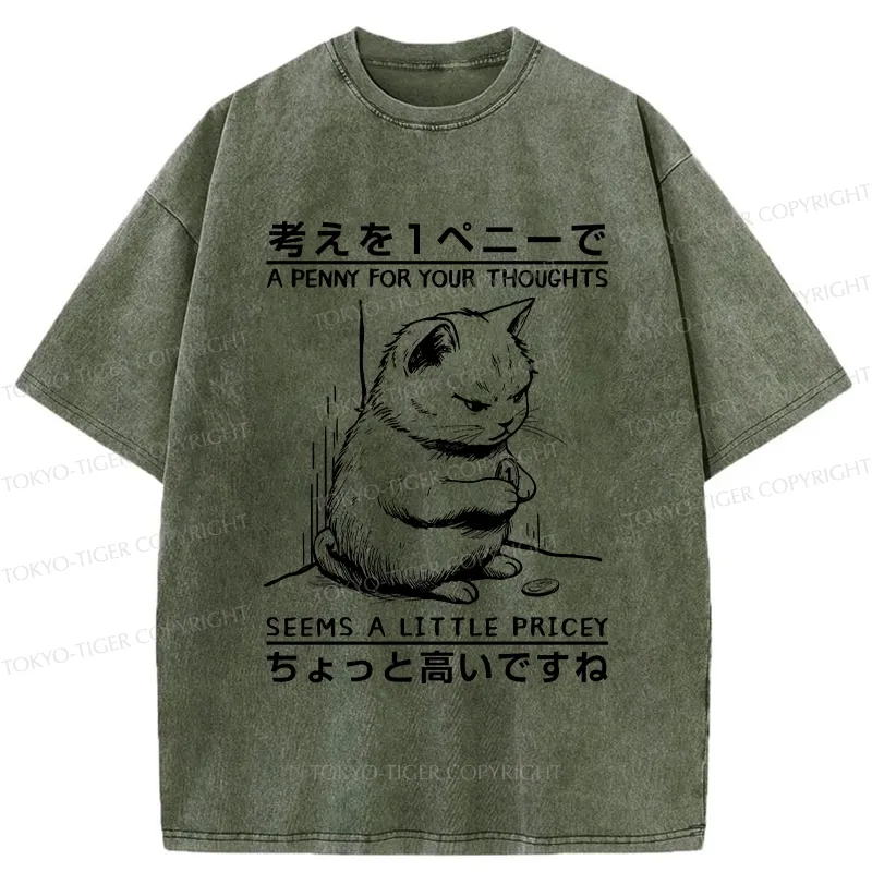 Tokyo-Tiger A Penny For Your Thoughts Washed T-Shirt