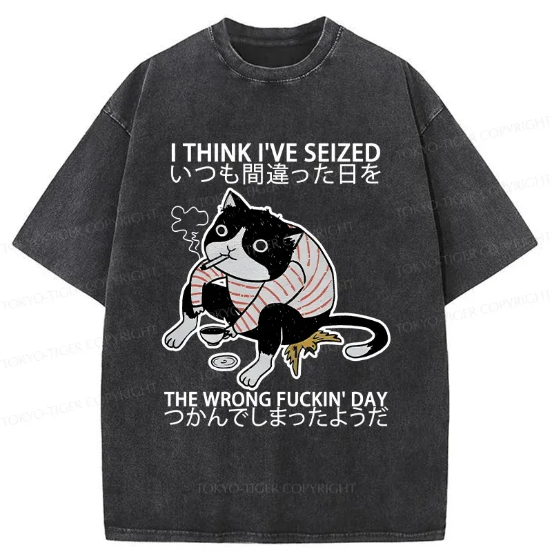 Tokyo-Tiger Decadent Cat Funny Washed T-Shirt