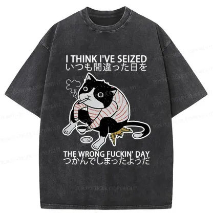 Tokyo-Tiger Decadent Cat Funny Washed T-Shirt