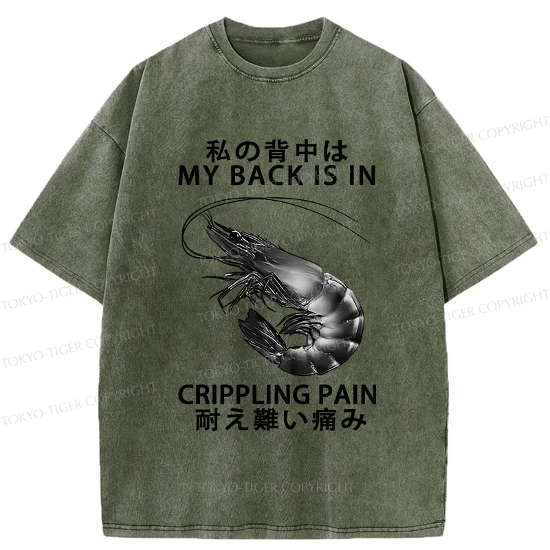 Tokyo-Tiger My Back Is In Crippling Pain Washed T-Shirt