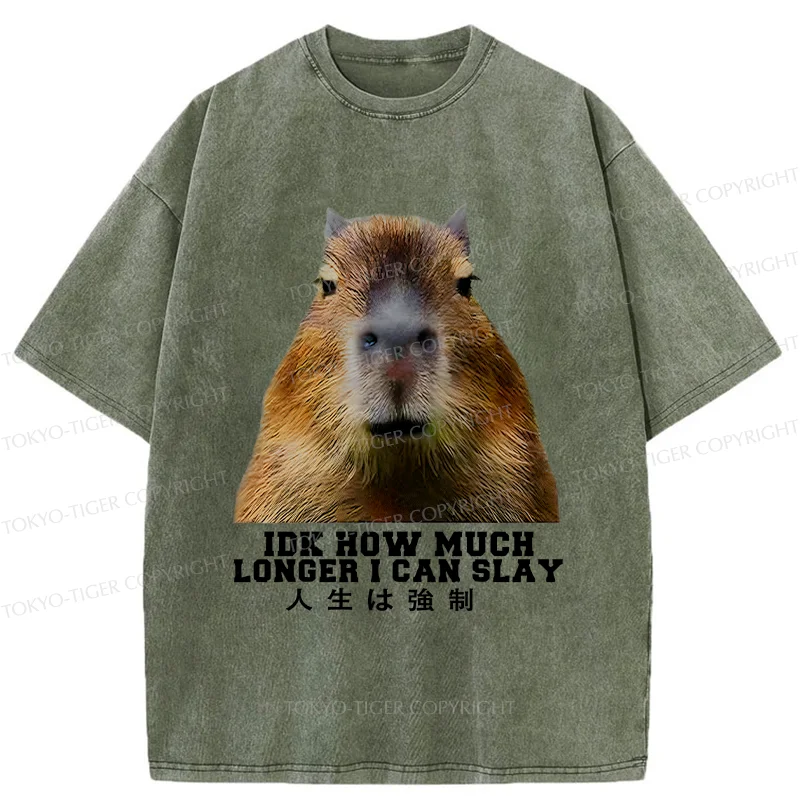 Tokyo-Tiger Life Is Forced Washed T-Shirt