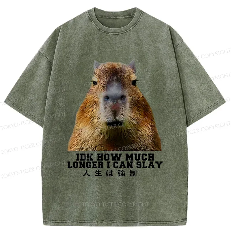 Tokyo-Tiger Life Is Forced Washed T-Shirt