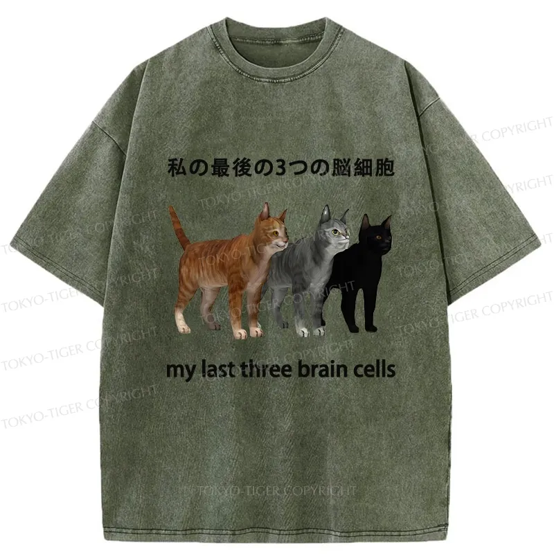 Tokyo-Tiger My Last Three Brain Cells Washed T-Shirt