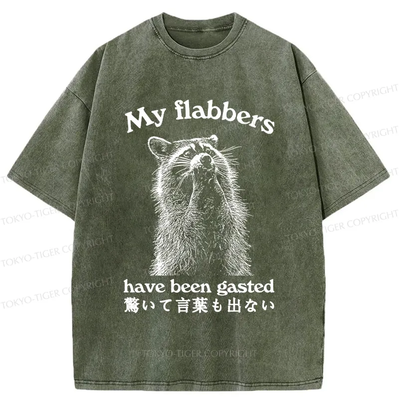 Tokyo-Tiger My Flabbers Have Been Gasted Washed T-Shirt