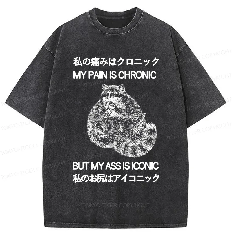 Tokyo-Tiger Raccoon Assis Iconic Washed T-Shirt