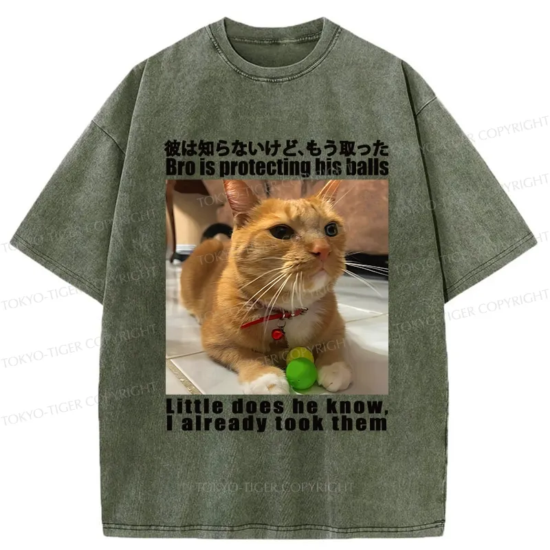 Tokyo-Tiger Bro Is Protecting His Balls Washed T-Shirt