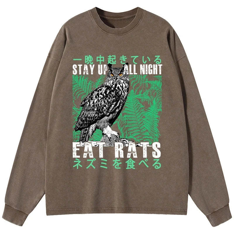 Tokyo-Tiger Owls Prey On Rats At Night Washed Long Sleeve T-Shirt