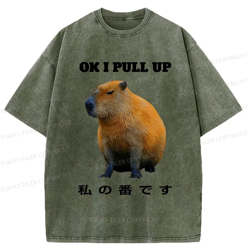 Tokyo-Tiger Ok I Pull Up Funny Capybara Washed T-Shirt Sale