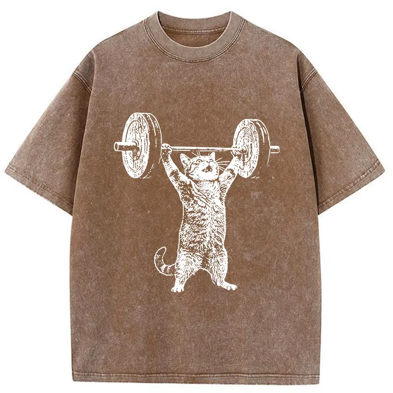 Tokyo-Tiger Kitten Workout Gym Funny Washed T-Shirt