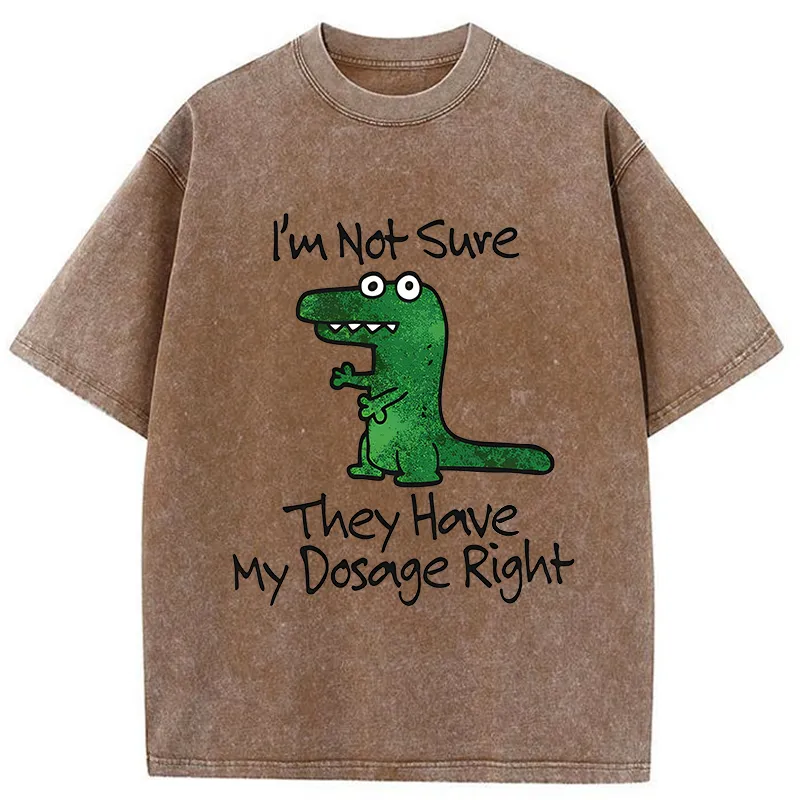 Tokyo-Tiger Dinosaur Meme Sarcastic Ironic Washed T-Shirt