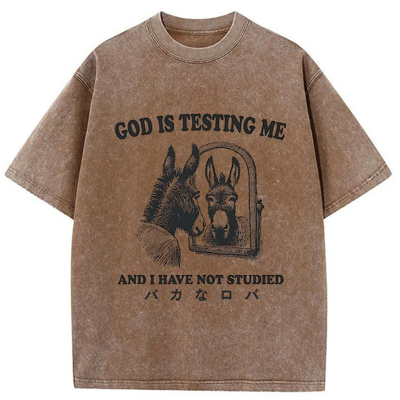 Tokyo-Tiger Studied Donkey Meme Washed T-Shirt