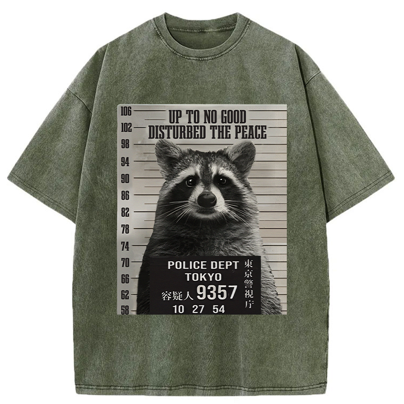 Tokyo-Tiger Arrested Raccoon Washed T-Shirt