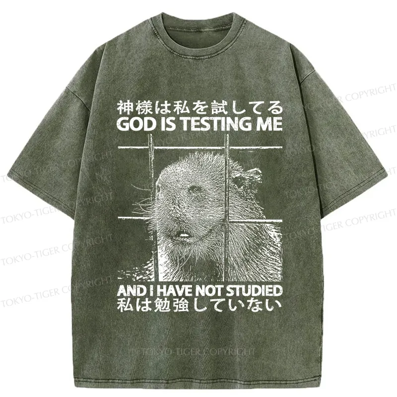 Tokyo-Tiger God Is Testing Me Washed T-Shirt