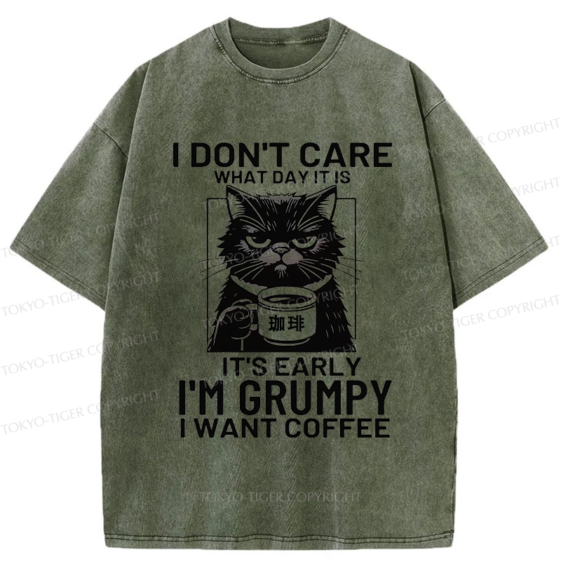 Tokyo-Tiger Funny Grumpy Cat Washed T-Shirt