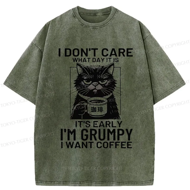 Tokyo-Tiger Funny Grumpy Cat Washed T-Shirt