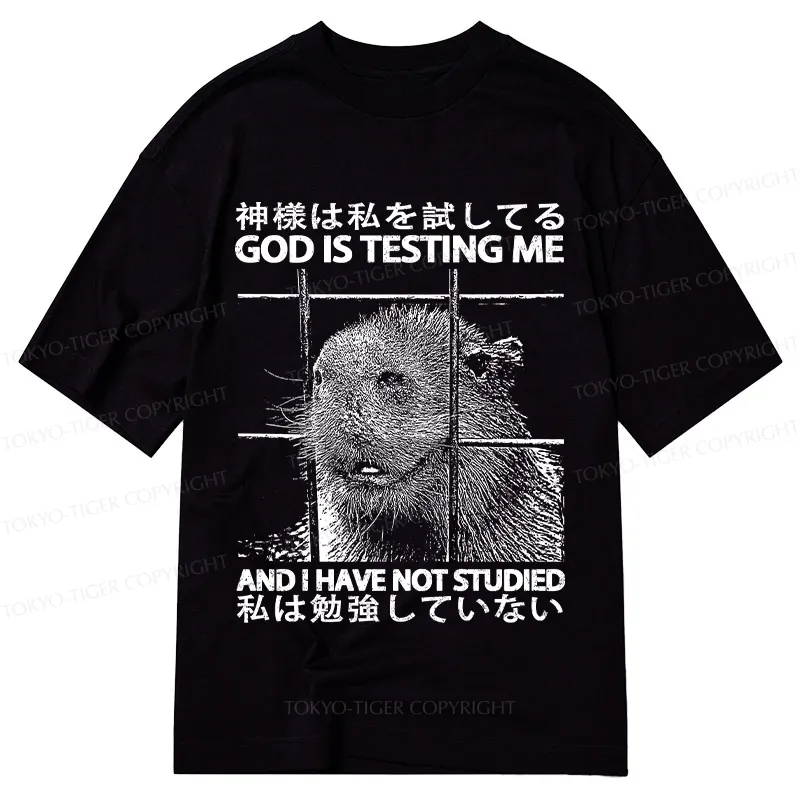 Tokyo-Tiger God Is Testing Me Classic T-Shirt Sale