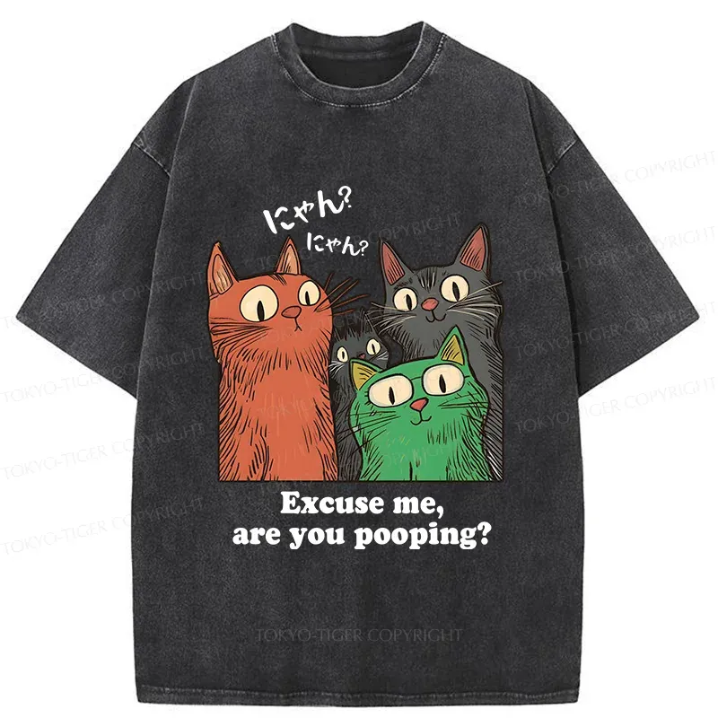 Tokyo-Tiger Cats Watching Poop Washed T-Shirt