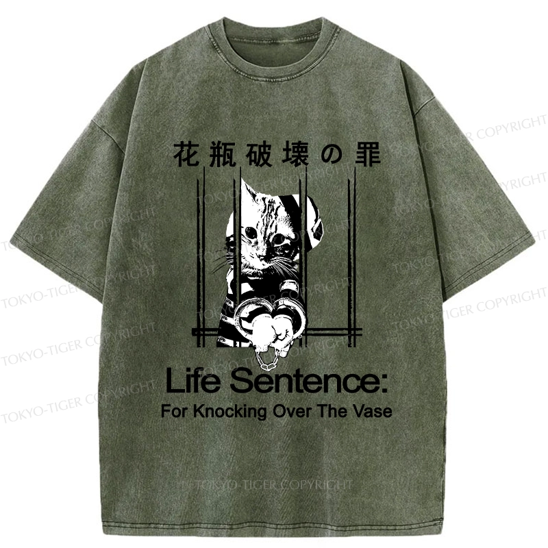 Tokyo-Tiger The Sin Of Vase Breaking Funny Washed T-Shirt
