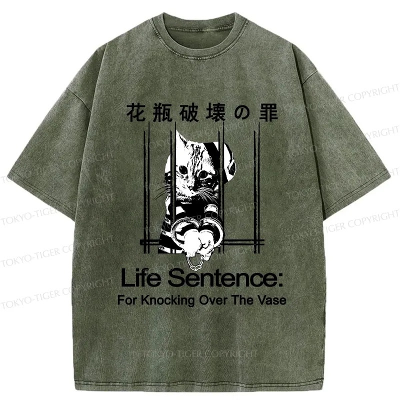 Tokyo-Tiger The Sin Of Vase Breaking Funny Washed T-Shirt