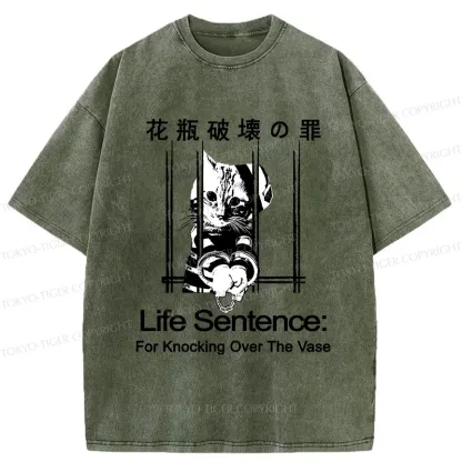 Tokyo-Tiger The Sin Of Vase Breaking Funny Washed T-Shirt