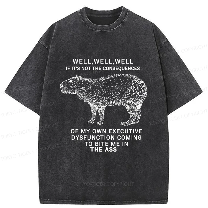Tokyo-Tiger Stupid Capybara Washed T-Shirt