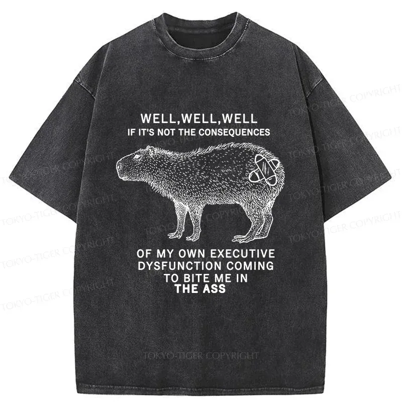 Tokyo-Tiger Stupid Capybara Washed T-Shirt