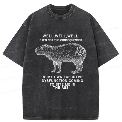 Tokyo-Tiger Stupid Capybara Washed T-Shirt